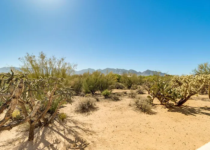 Oro Valley Airpark Estate W/ Pool & Mtn Views Holiday home *